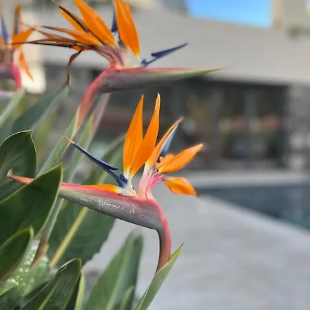 Porta Celeste - Al Tatil Evi